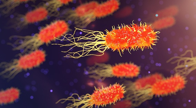 Células madre y su impacto en el tratamiento de enfermedades del sistema nervioso periférico