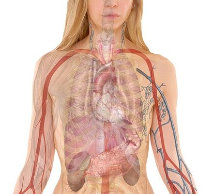 Células madre y su potencial en el tratamiento de enfermedades pulmonares